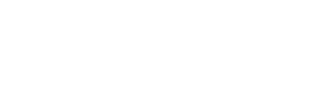 united-airlines-logo-white.png